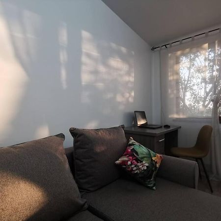 Apartament Gulliver In Centrul Vechi Iasi Eksteriør bilde