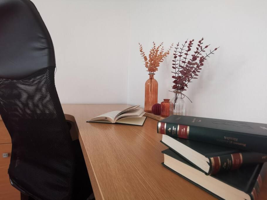 Apartament Gulliver In Centrul Vechi Iasi Eksteriør bilde
