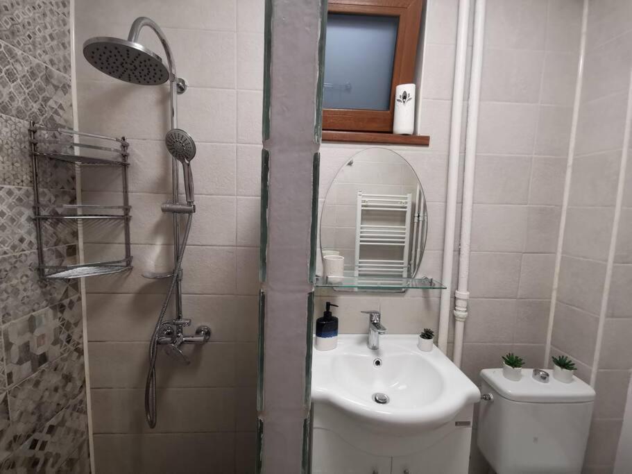 Apartament Gulliver In Centrul Vechi Iasi Eksteriør bilde