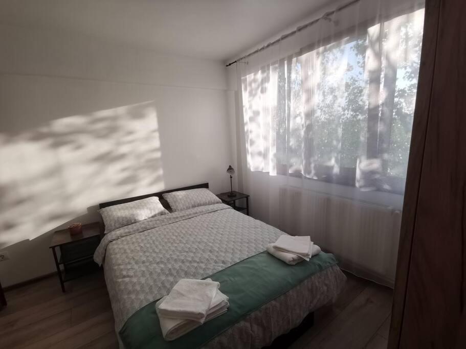 Apartament Gulliver In Centrul Vechi Iasi Eksteriør bilde