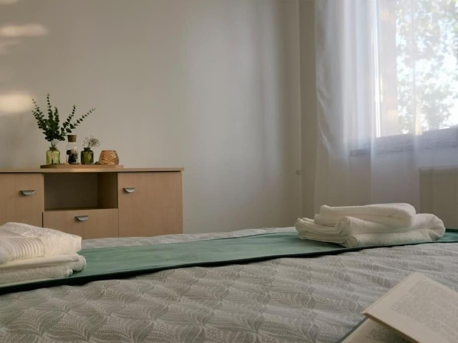 Apartament Gulliver In Centrul Vechi Iasi Eksteriør bilde