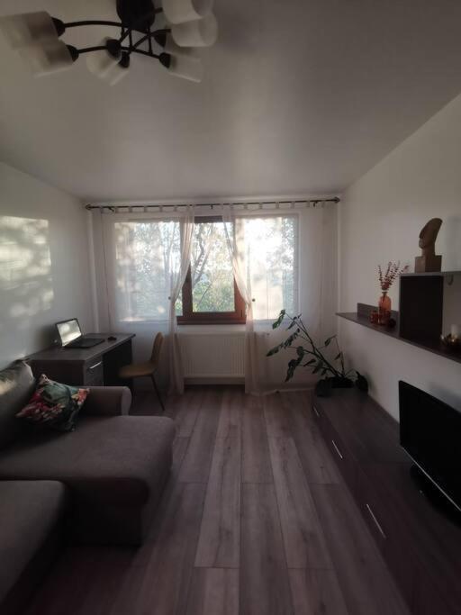 Apartament Gulliver In Centrul Vechi Iasi Eksteriør bilde