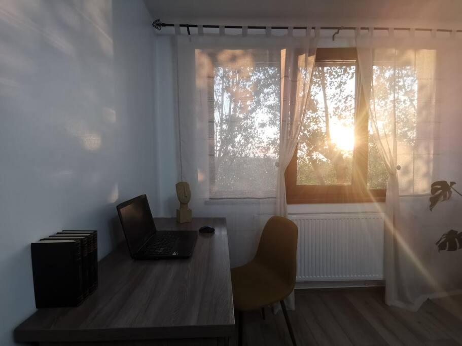 Apartament Gulliver In Centrul Vechi Iasi Eksteriør bilde