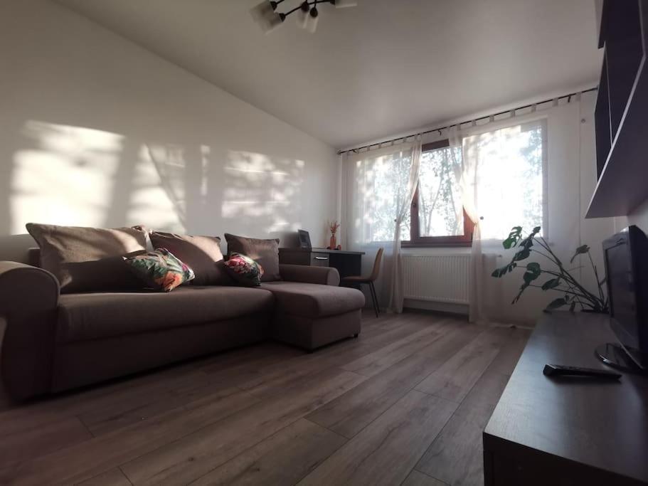 Apartament Gulliver In Centrul Vechi Iasi Eksteriør bilde