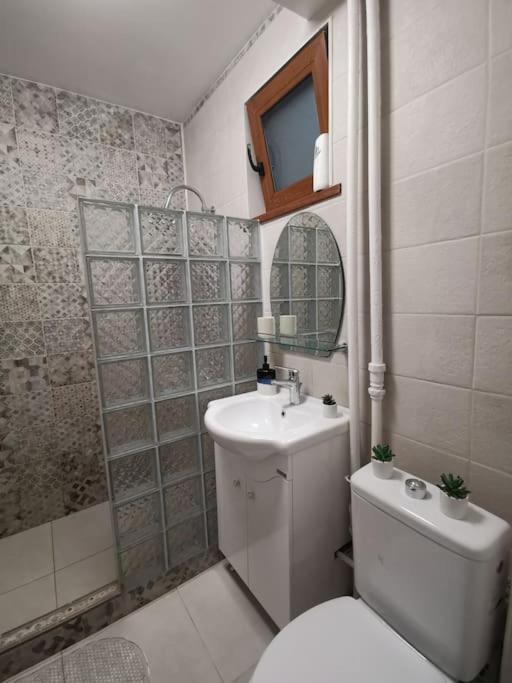 Apartament Gulliver In Centrul Vechi Iasi Eksteriør bilde