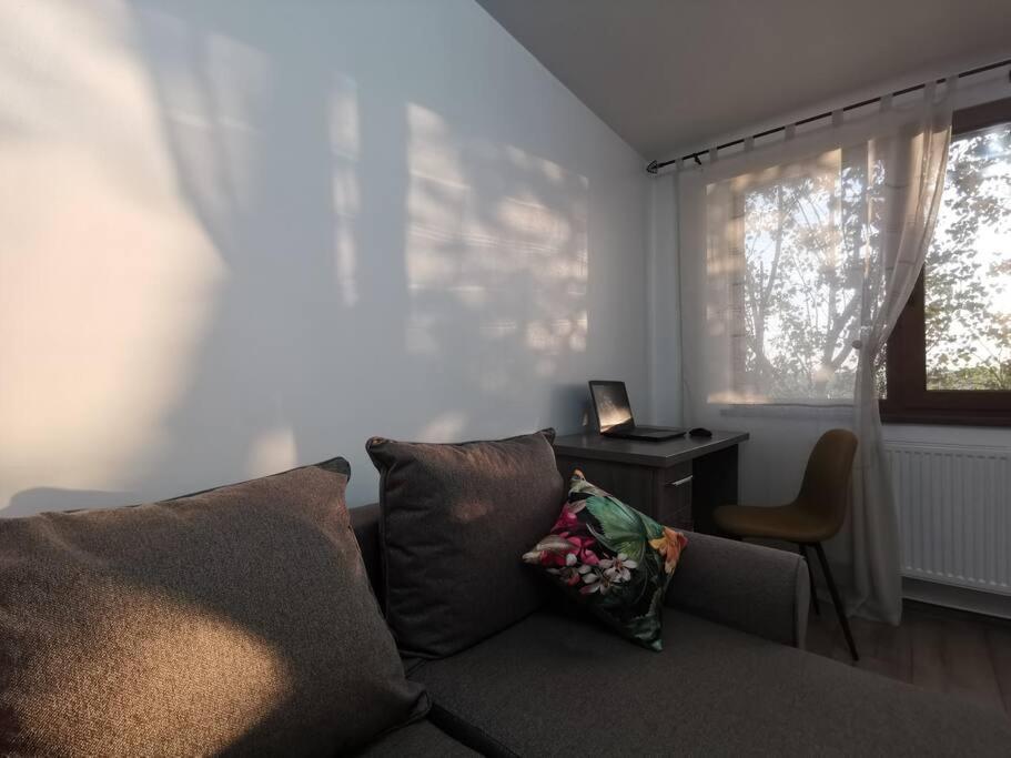 Apartament Gulliver In Centrul Vechi Iasi Eksteriør bilde