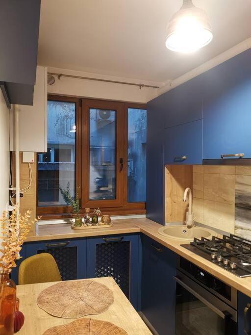Apartament Gulliver In Centrul Vechi Iasi Eksteriør bilde